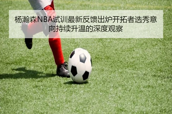 杨瀚森NBA试训最新反馈出炉开拓者选秀意向持续升温的深度观察